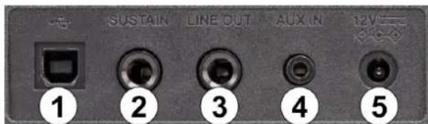 MAX RhapsodyDP88 - TOMA DE PEDAL DE SUSTAIN - 1