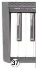 MAX RhapsodyDP88 - Headphone jack - 1