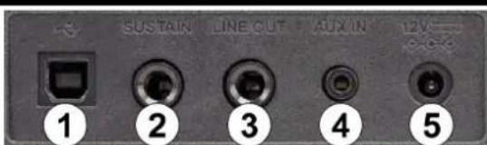 MAX RhapsodyDP88 - CONNECTIONS - 1