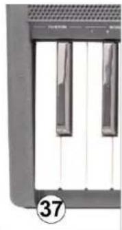 MAX RhapsodyDP88 - Toma de auriculares - 1