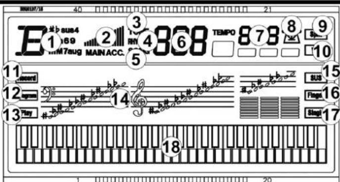 MAX RhapsodyDP61 - DISPLAY - 1