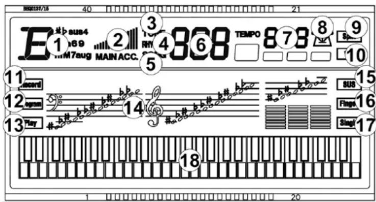 MAX RhapsodyDP61 - DISPLAY - 1