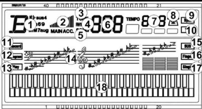 MAX RhapsodyDP61 - Black/white key display - 1