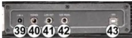 MAX RhapsodyDP61 - TOMA DE AURICULARES - 1