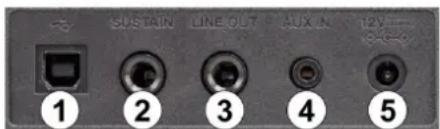 MAX RhapsodyDP88P - LINE OUT - 1