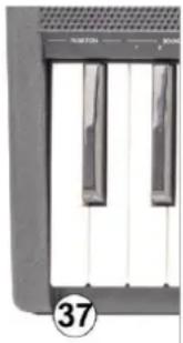 MAX RhapsodyDP88P - Prise casque - 1