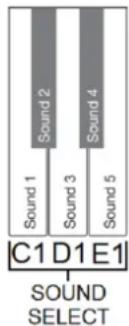 MAX RhapsodyDP88P - PLAYING SOUNDS - 2