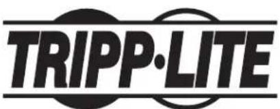 Tripp Lite S3MT-100KWR480V - WEEE Compliance Information for Tripp Lite Customers and Recyclers (European Union) - 4