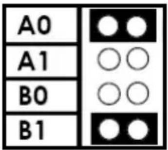 StarTech.com PEX8S950LP - Guide du Matériel - 2