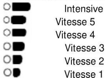 Intensive Vitesse 5 Vitesse 4 Vitesse 3 Vitesse 2 Vitesse 1