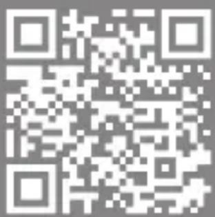 Bearware 307001 - Limite de surcharge - 1