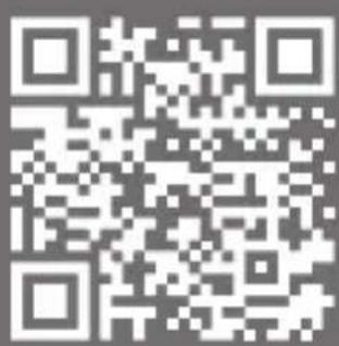 Bearware 307021 - Instructions for battery disposal - 4