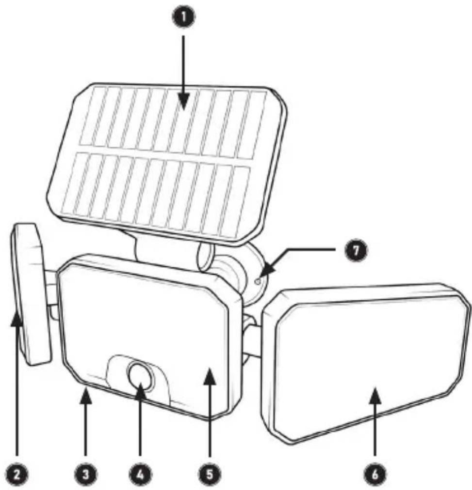 Brandson 307153 - Dettagli del prodotto - 1