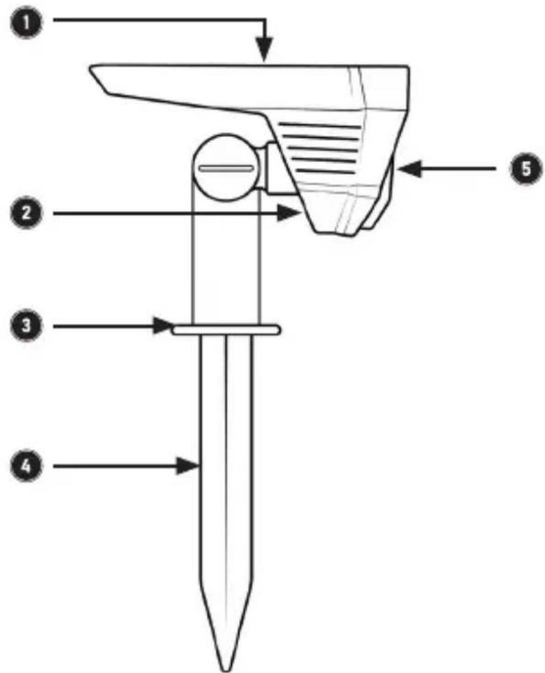 Brandson 307156 - Detalles del producto - 1
