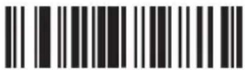 Aplic 304351 - Disposal instructions - 145