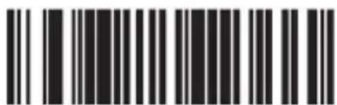 Aplic 304351 - Disposal instructions - 131