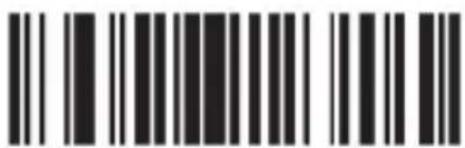 Aplic 304351 - Disposal instructions - 118