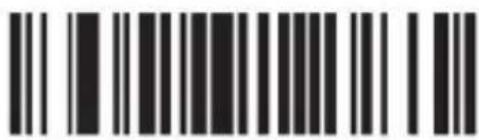 Aplic 304351 - Disposal instructions - 129