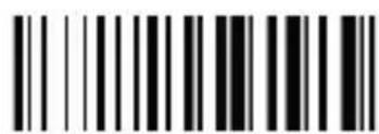 Aplic 304627 - Input language - 5