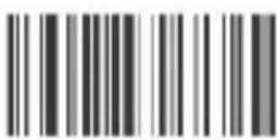 Aplic 304674 - Barcode settings - 37