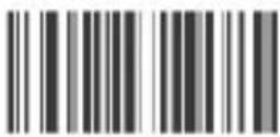 Aplic 304674 - Barcode settings - 39