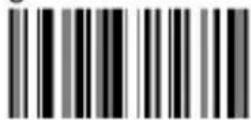 Aplic 304674 - Barcode settings - 43