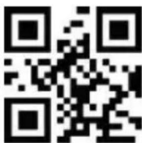 Aplic 305045 - Scan mode - 2