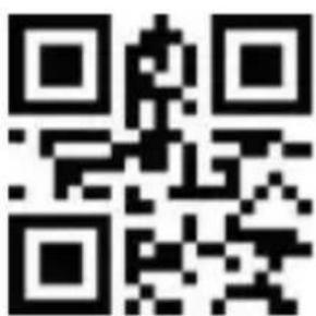 Aplic 305045 - Scan mode - 1