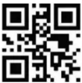 Aplic 305045 - Terminateurs - 24