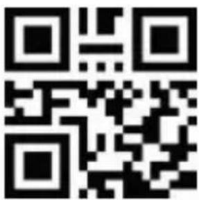 Aplic 305045 - Terminateurs - 31