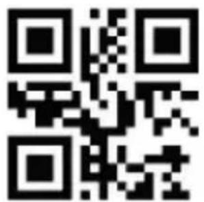 Aplic 305045 - CapsLock settings - 1