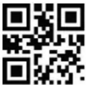 Aplic 305045 - CapsLock settings - 2