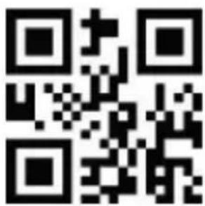 Aplic 305045 - Scan mode - 18