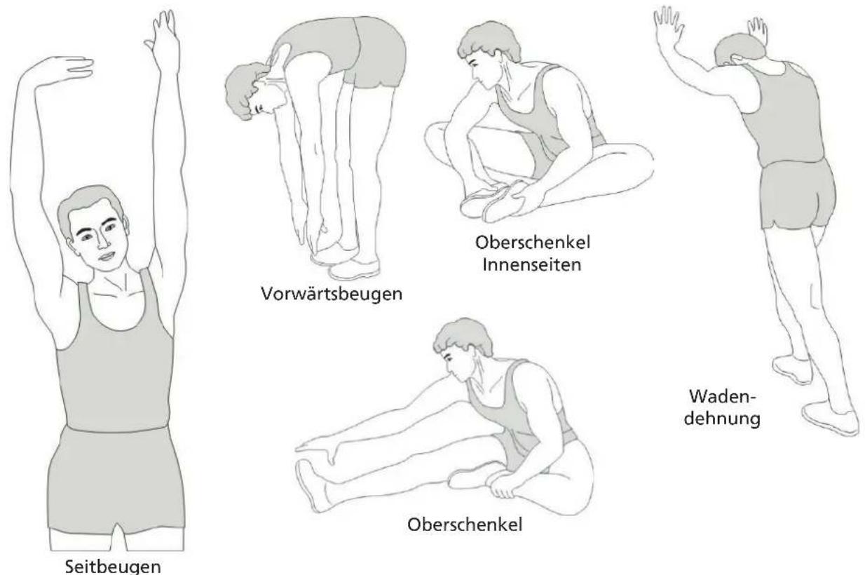 Skandika Nemo II Hybrid - STRETCHING - 1