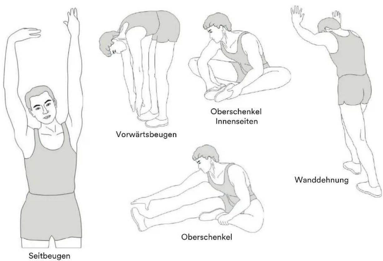 Skandika Nordik K18-S - Stretching - 1