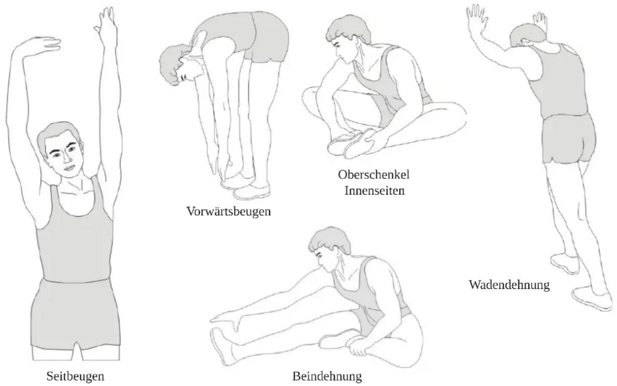Skandika Styrke Premium - Stretching - 1