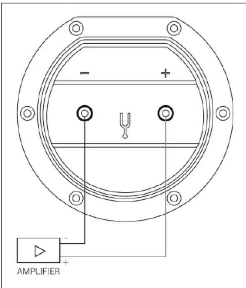 - + AMPLIFIER - + +