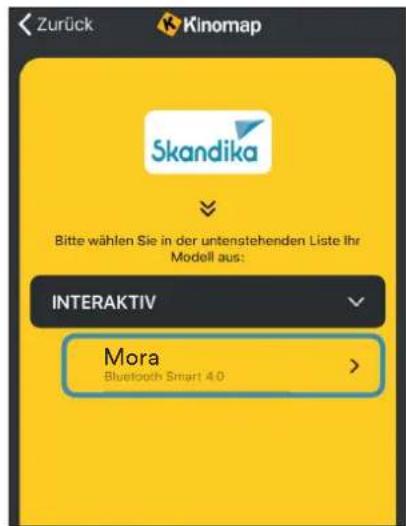 Skandika Mora - KINOMAP - 8