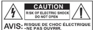 BLACKSTAR Debut 100R - INSTRUCCIONES IMPORTANTES DE SEGURIDAD - 4