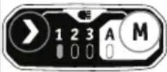 Flex IW 1/2" 1500 18-EC - Utilizând butonul „M“: - 5