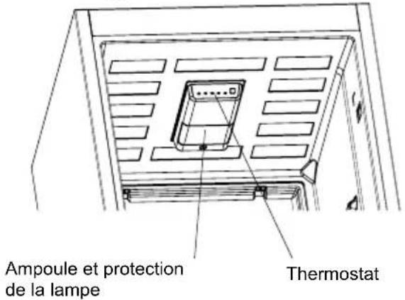 Ampoule et protection de la lampe Thermostat