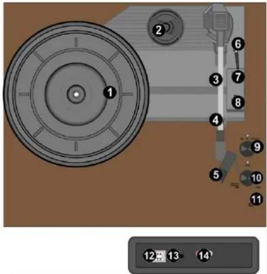Audizio Fremont - MONTAGE - 1
