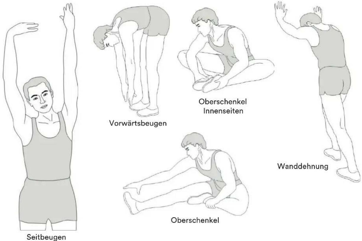 Skandika Carbon P26-S - Stretching - 1