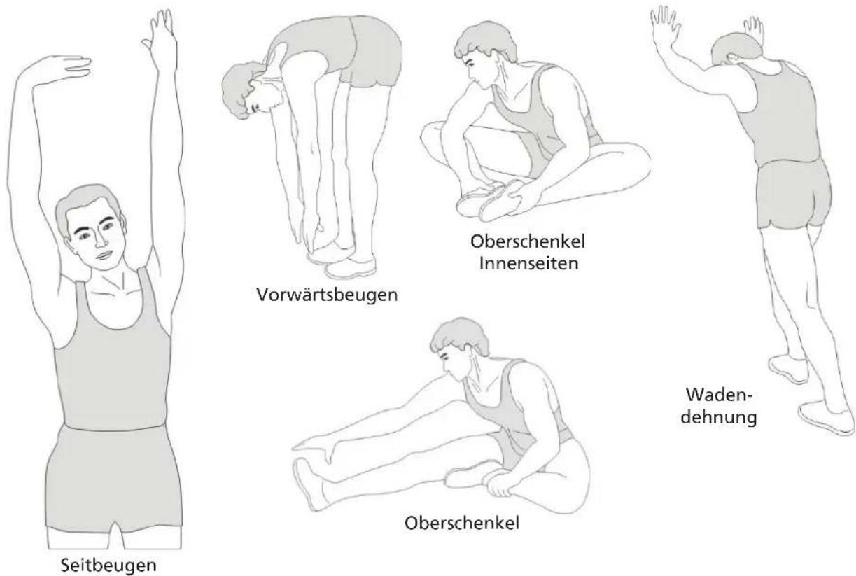 Skandika Nemo V Hybrid - STRETCHING - 1