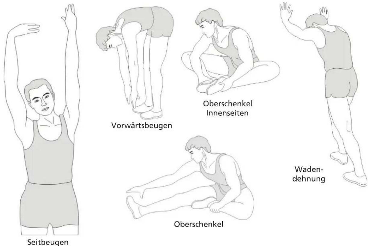 Skandika V2500 - STRETCHING - 1