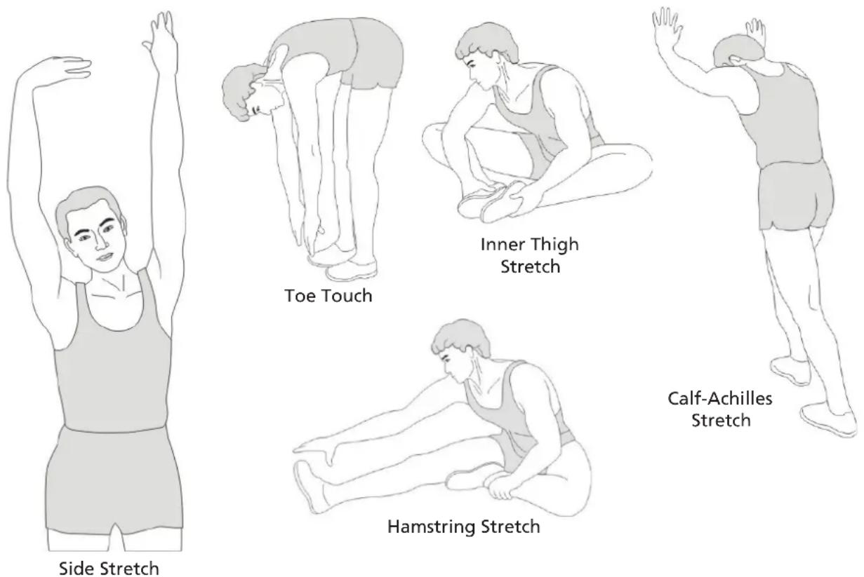 Skandika Freki Plus - STRETCHING - 1