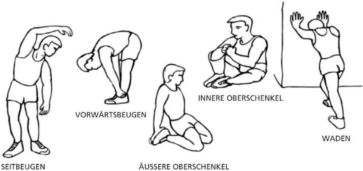 Skandika Home Vibration Plate V1 - Aufwärmübungen - 1
