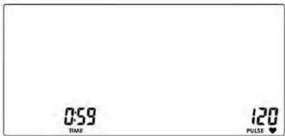 Skandika Cardiocross Carbon Pro II - Recovery - 1