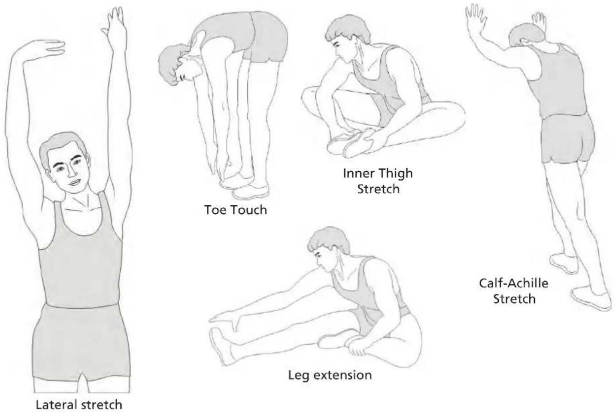 Skandika Cardiocross Carbon Pro II - STRETCHING - 1