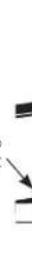 GE PFW955SPWGN - Optional: Reverse the washer door 8 Final installati - 9